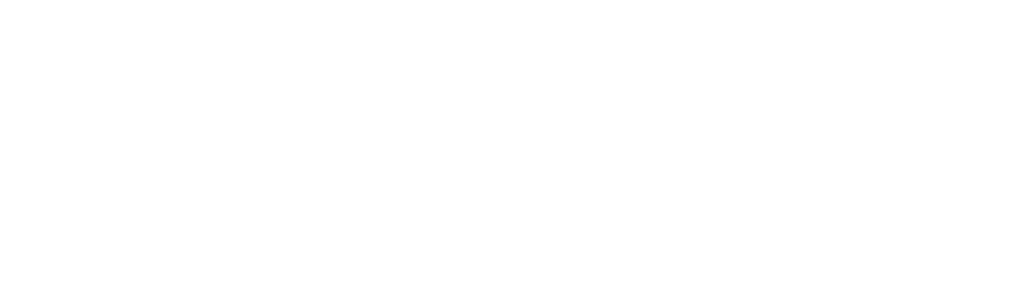 logo Neumáticos Alejandro Guerrero